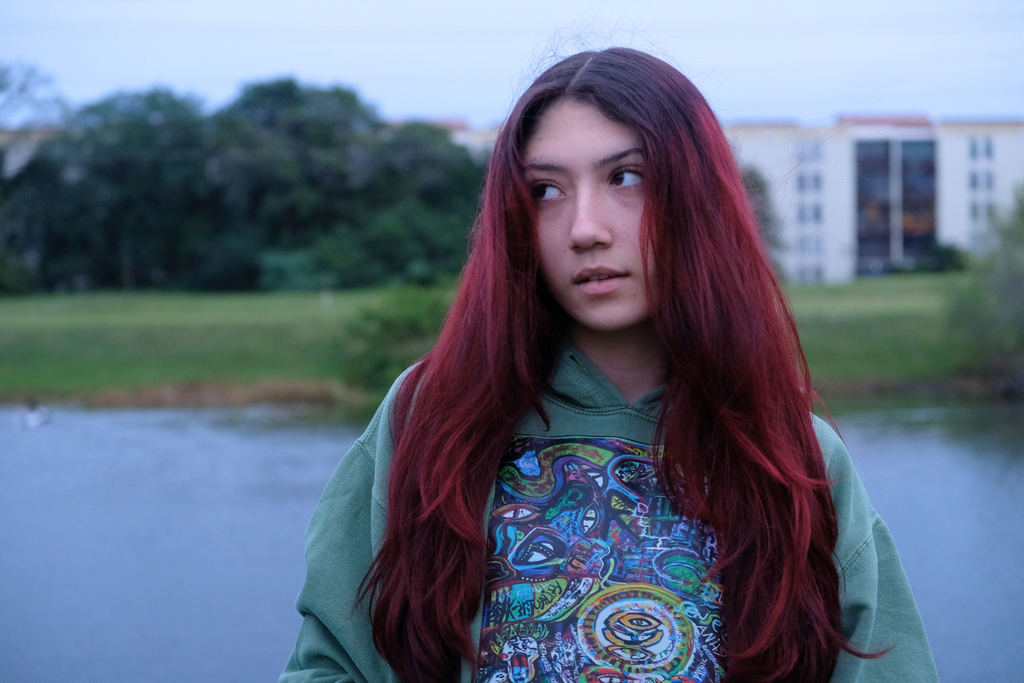 SpiritualDelic (hoodie)